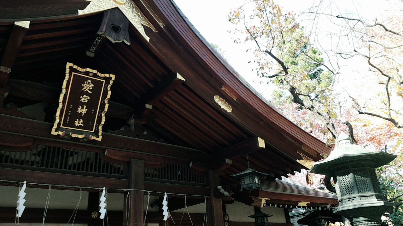 画像　愛宕神社の本殿