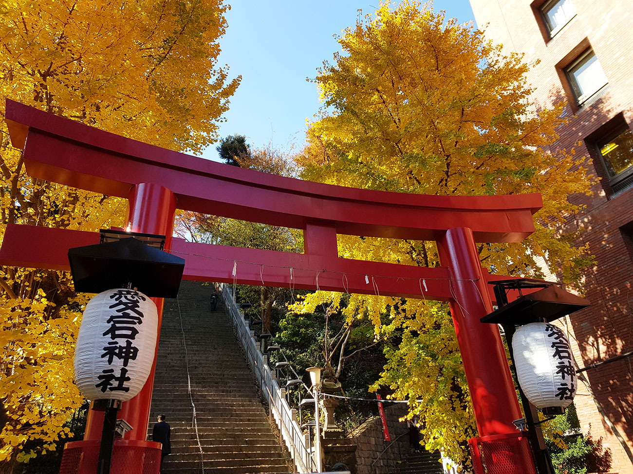 愛宕神社の鳥居と紅葉