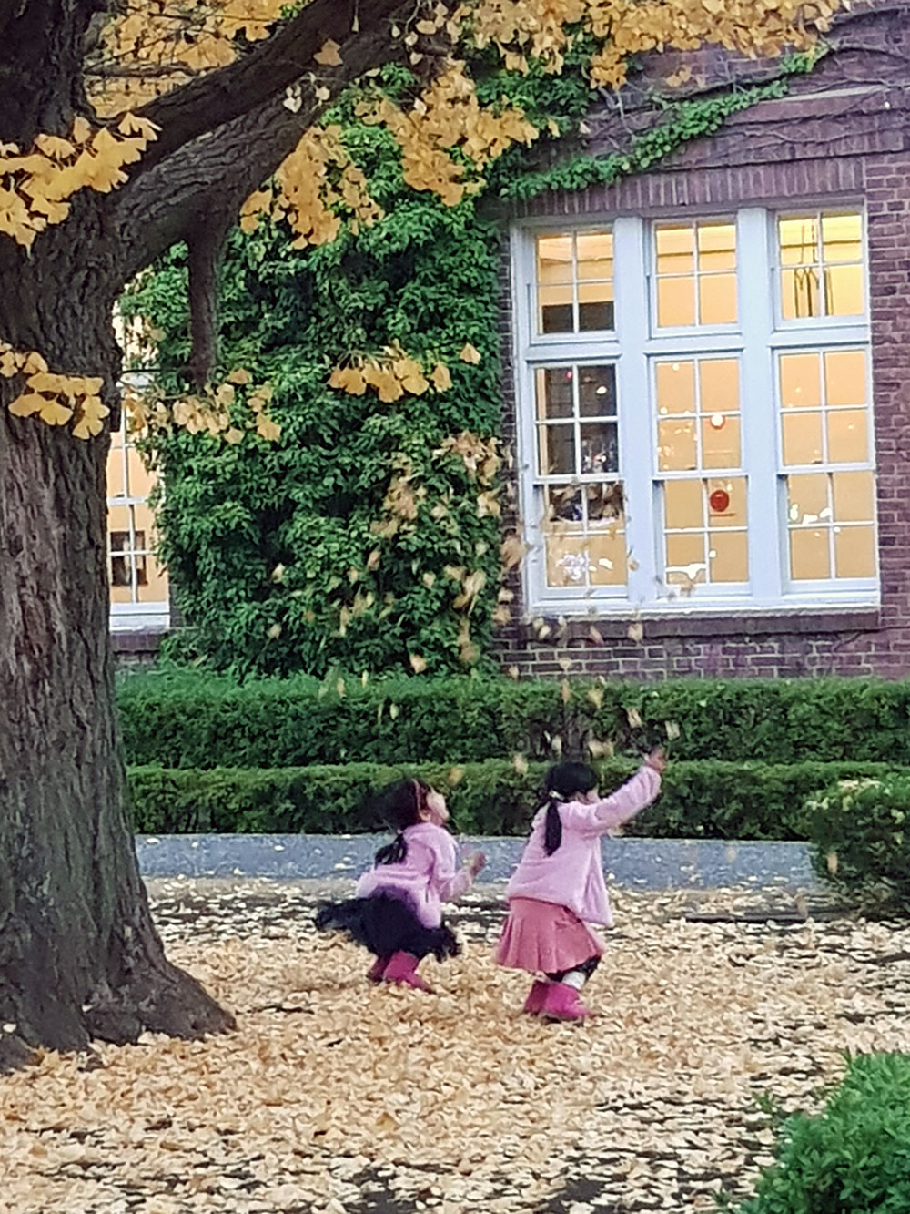 銀杏の落ち葉で遊ぶ子どもたち
